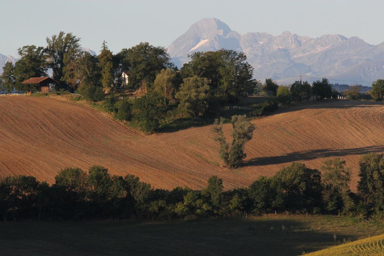 Gite Les Hauts Du Lac Carla-Bayle エクステリア 写真